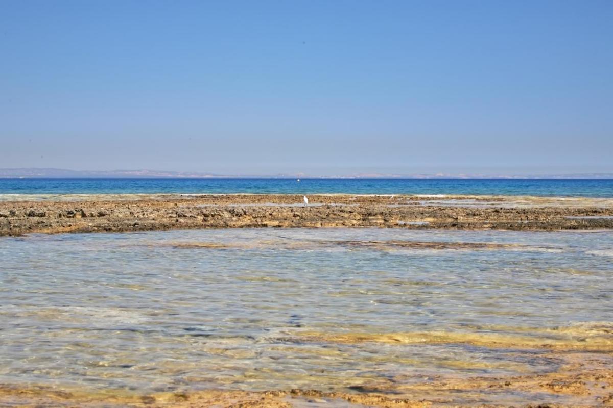 Seaview Luxury Villa Jacuzzi & Pool! 2 Min Beach Protaras Exterior foto